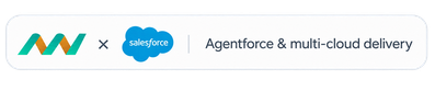 amwhiz-salesforce-397x83