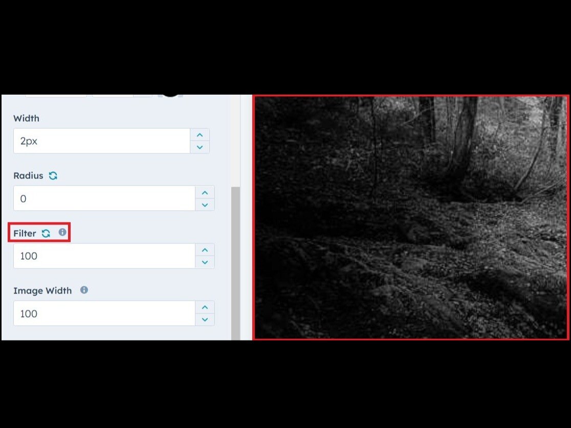 Add Grayscale Image Effect